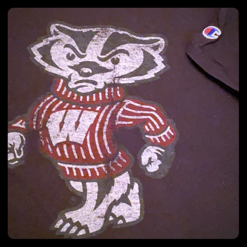 University of Wisconsin Champion t-shirt